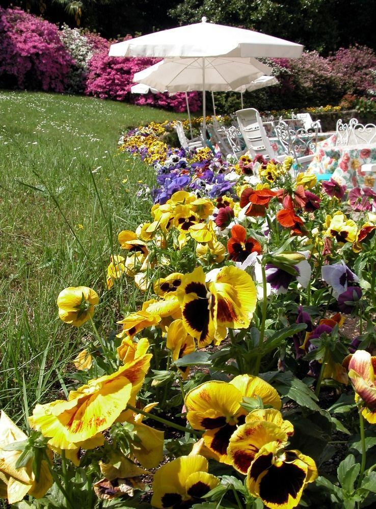 Du Parc Hotel Lake Maggiore ภายนอก รูปภาพ
