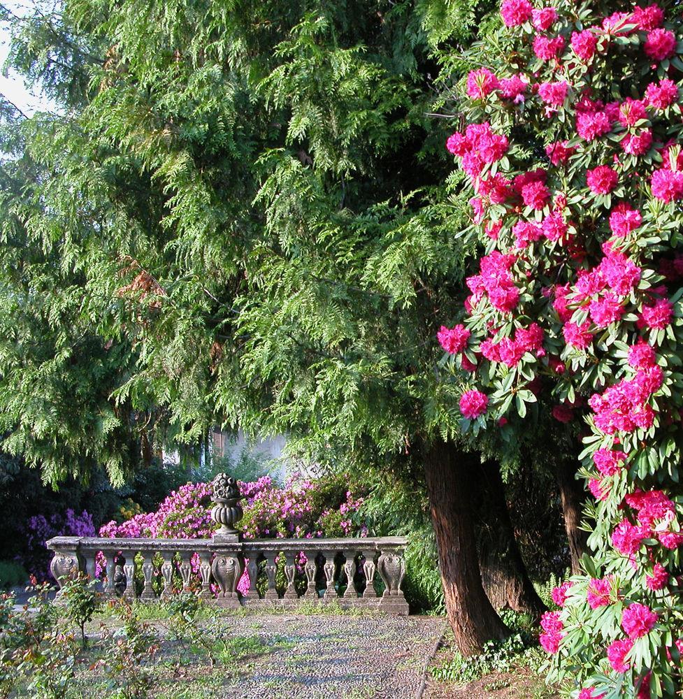 Du Parc Hotel Lake Maggiore ภายนอก รูปภาพ