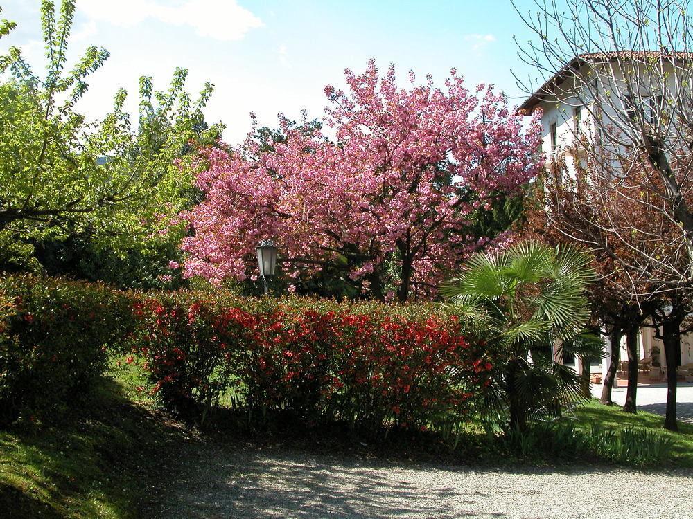 Du Parc Hotel Lake Maggiore ภายนอก รูปภาพ