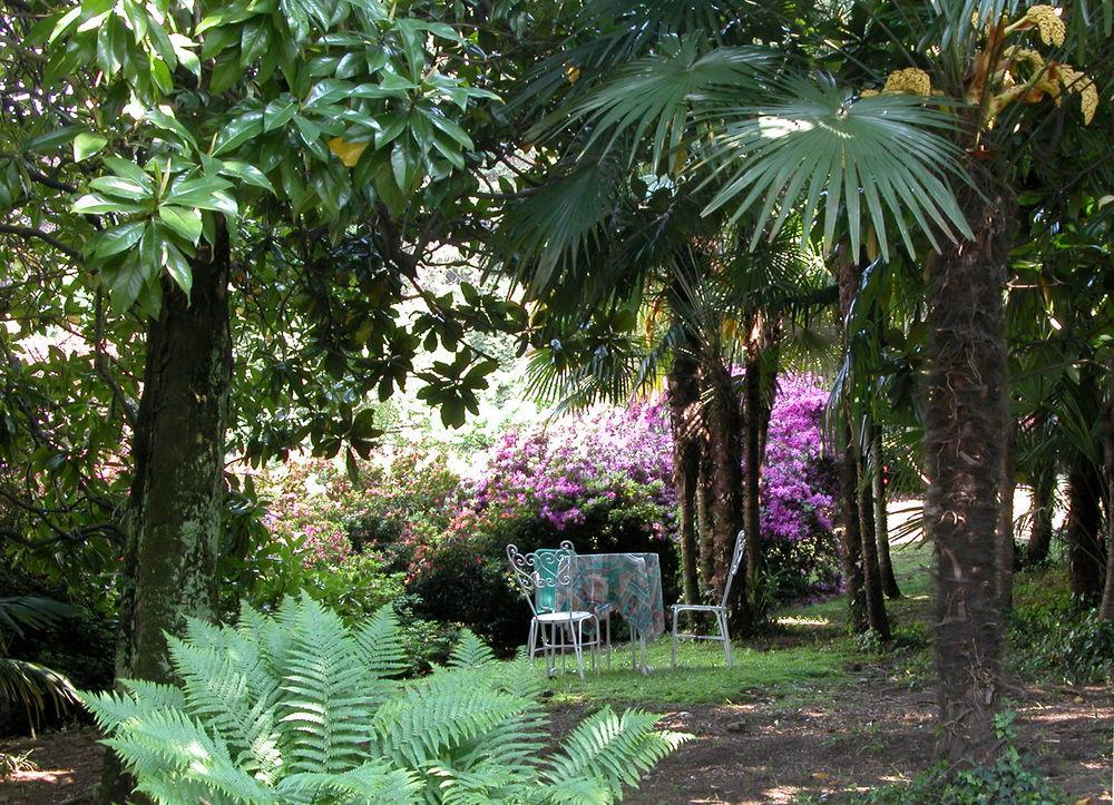 Du Parc Hotel Lake Maggiore ภายนอก รูปภาพ