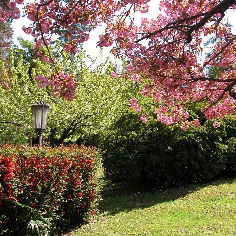 Du Parc Hotel Lake Maggiore ภายนอก รูปภาพ
