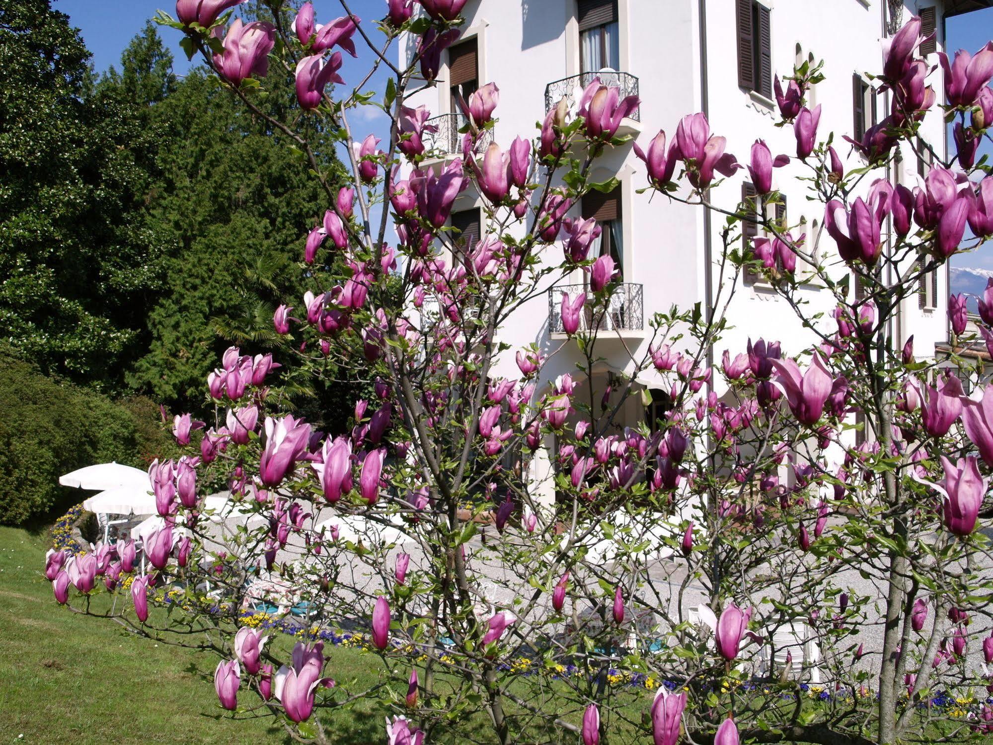Du Parc Hotel Lake Maggiore ภายนอก รูปภาพ